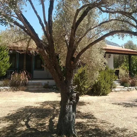 Payam Cicegi Tatil Evleri Datca